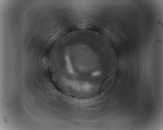 X0000103470043200809121637