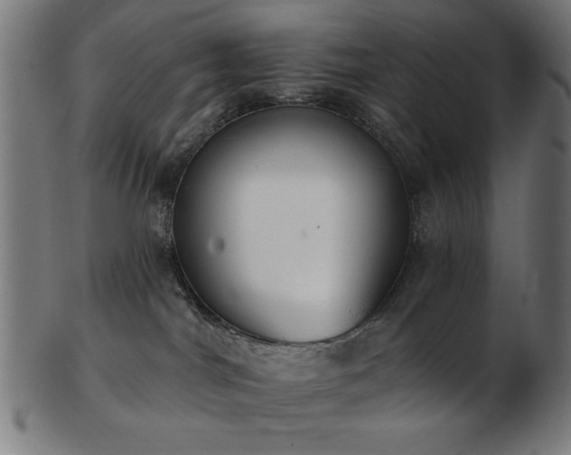 X0000103470044200809121637