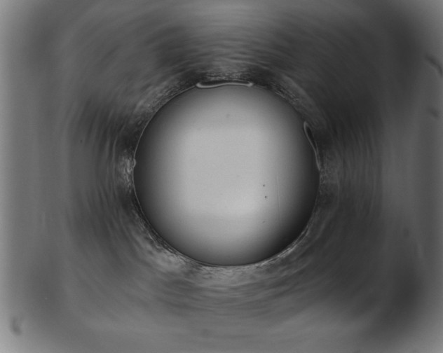 X0000103470045200809121637