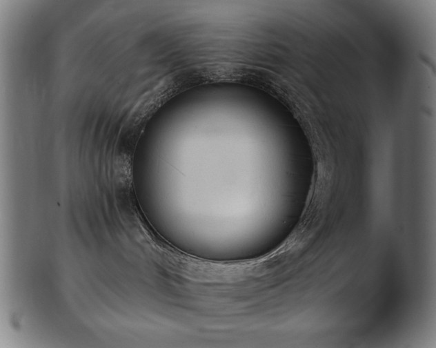 X0000103470048200809121637