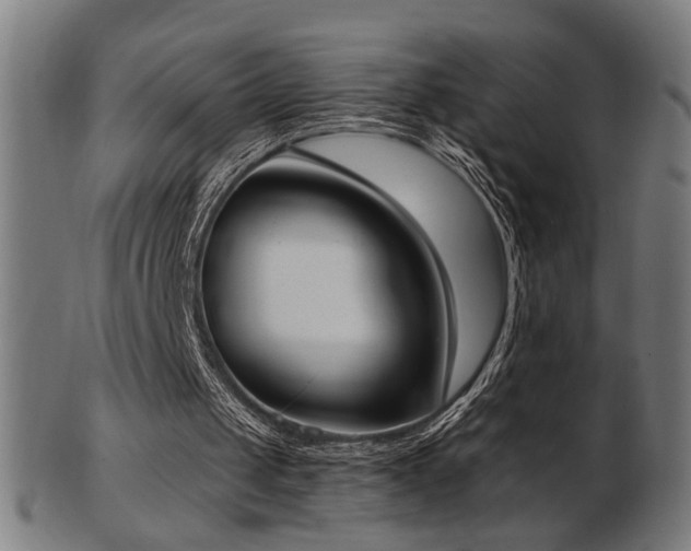 X0000103470049200809121637