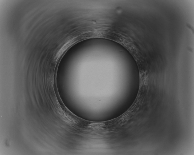 X0000103470051200809121637