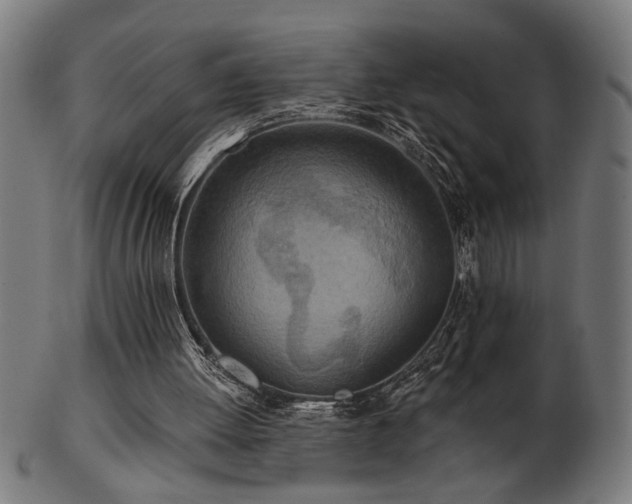 X0000103470052200809121637