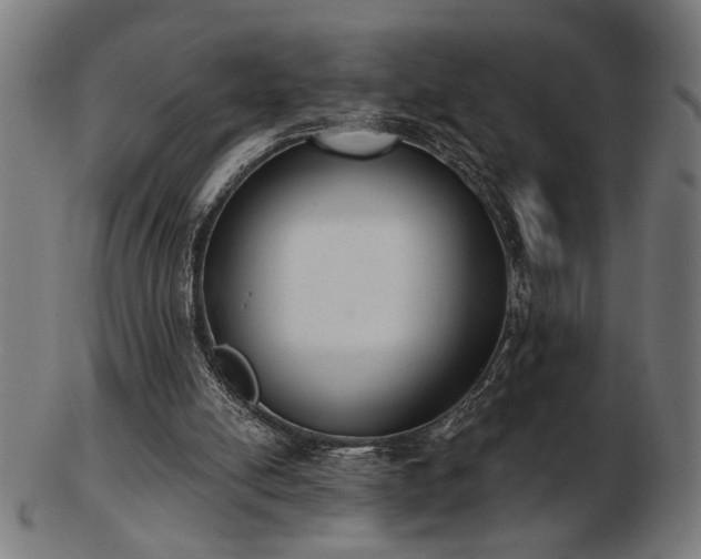 X0000103470054200809121637