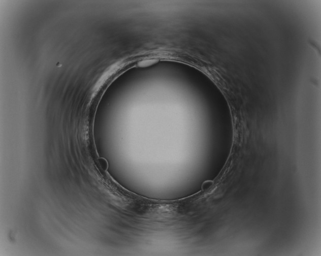 X0000103470056200809121637