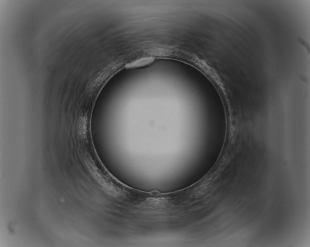 X0000103470057200809121637