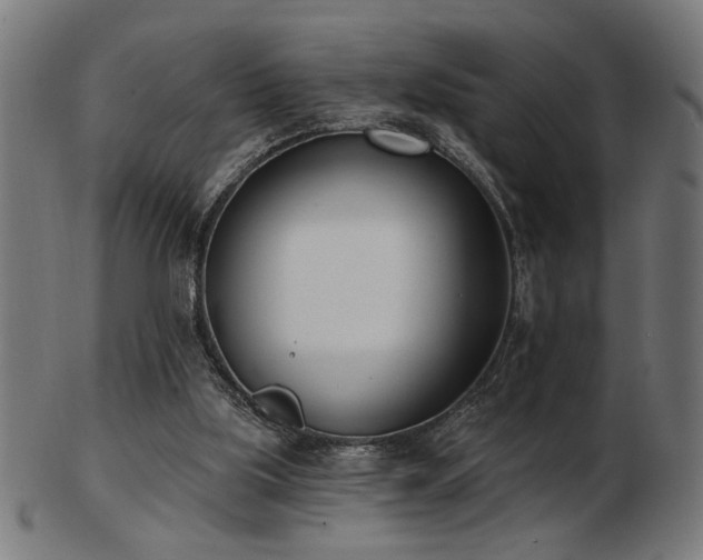 X0000103470059200809121637