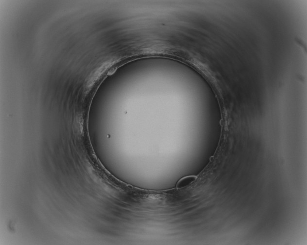 X0000103470060200809121637