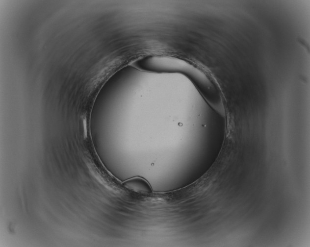 X0000103470061200809121637