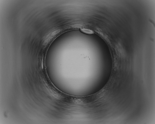 X0000103470062200809121637