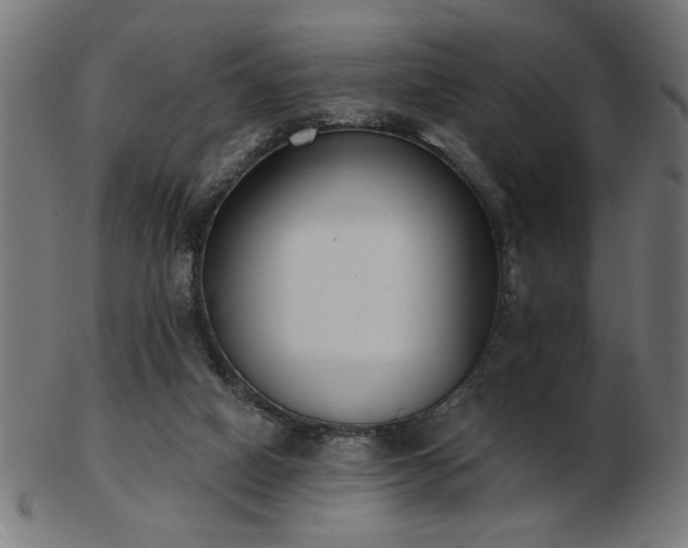 X0000103470066200809121637