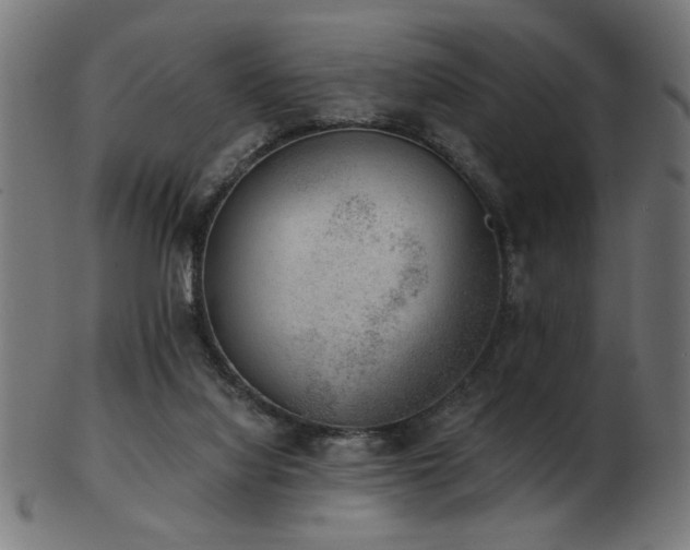 X0000103470068200809121637