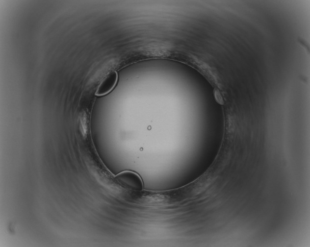 X0000103470069200809121637