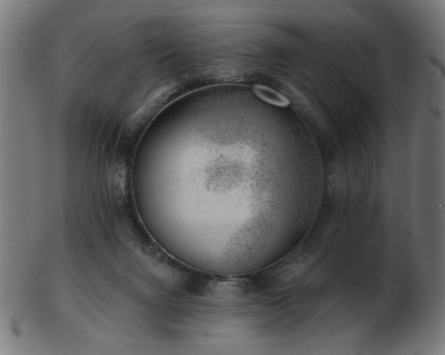 X0000103470072200809121637