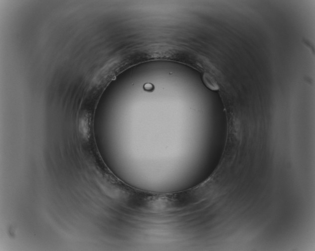 X0000103470074200809121637