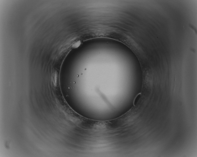 X0000103470076200809121637