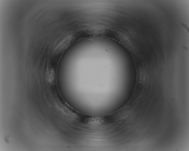 X0000103470077200809121637