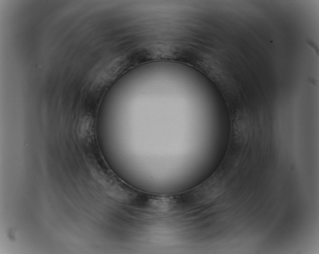 X0000103470079200809121637