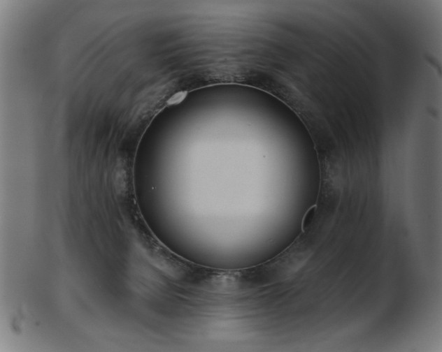 X0000103470080200809121637