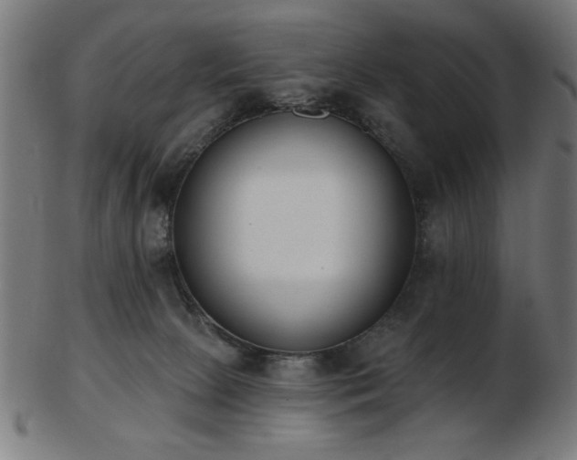 X0000103470081200809121637