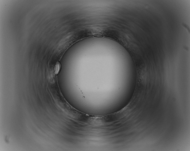 X0000103470082200809121637