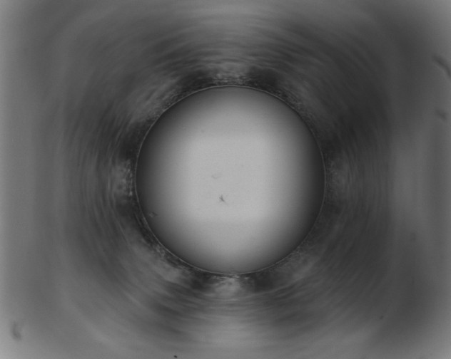 X0000103470083200809121637