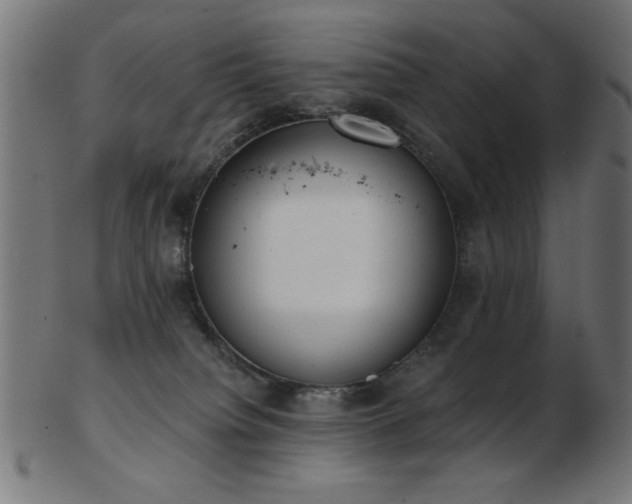 X0000103470084200809121637