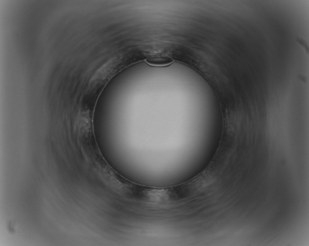 X0000103470085200809121637