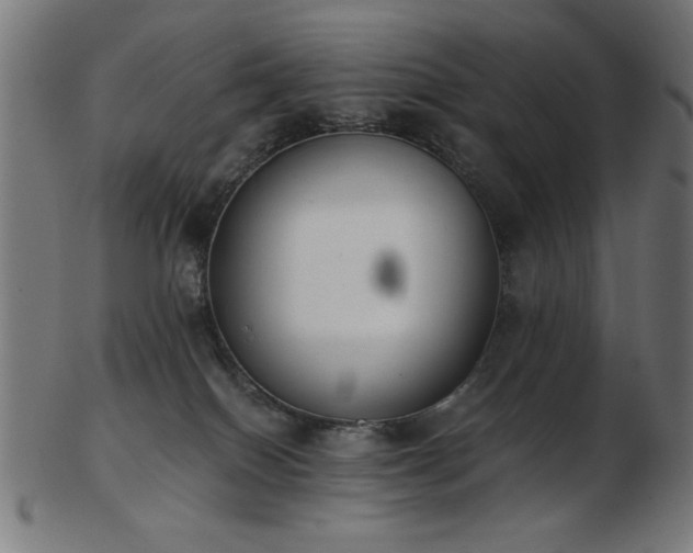 X0000103470086200809121637