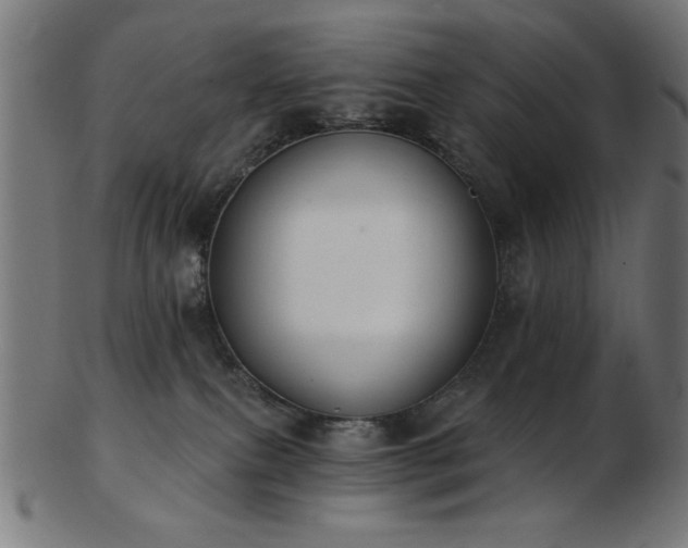 X0000103470087200809121637