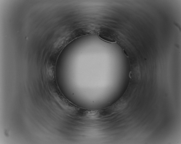 X0000103470088200809121637