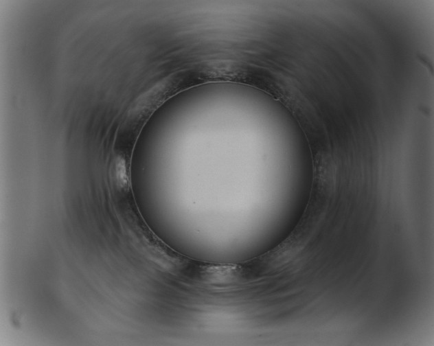 X0000103470089200809121637