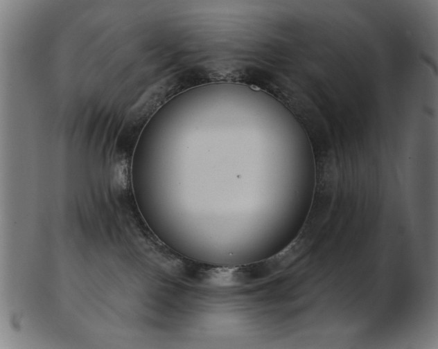 X0000103470090200809121637