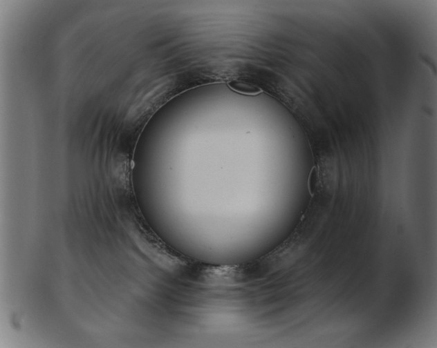 X0000103470092200809121637