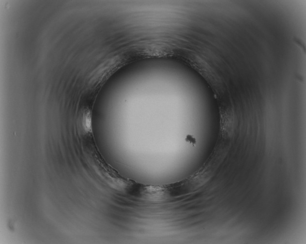 X0000103470095200809121637