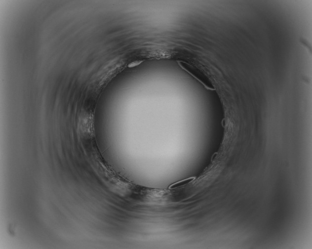 X0000103470096200809121637