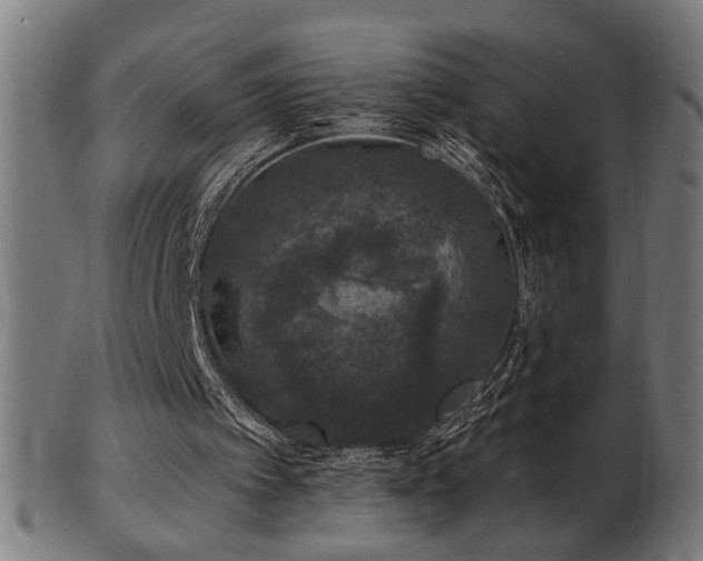 X0000103470097200809121637