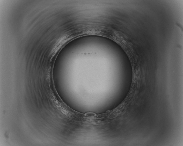 X0000103470098200809121637