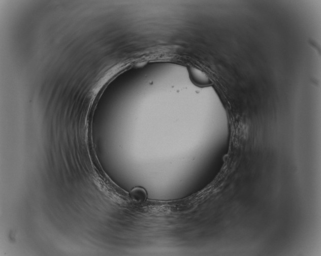 X0000103470100200809121637