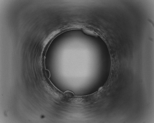 X0000103470104200809121637