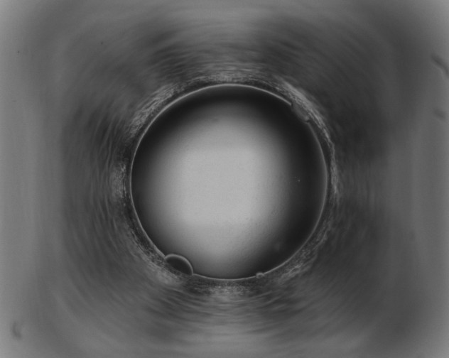 X0000103470105200809121637