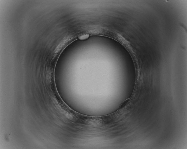 X0000103470106200809121637