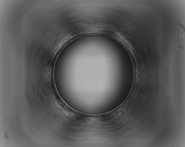 X0000103470107200809121637