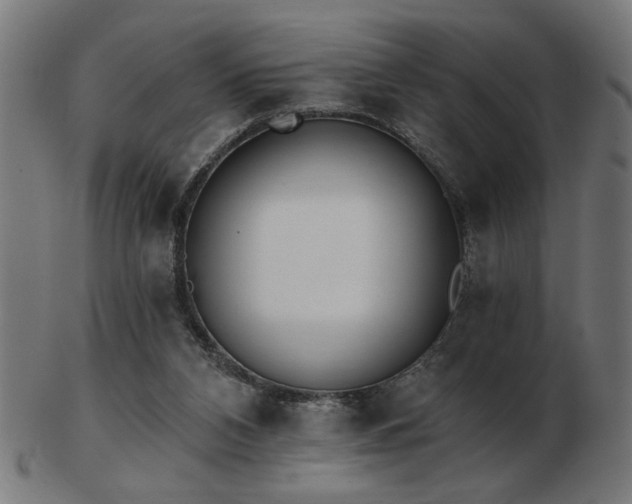 X0000103470112200809121636