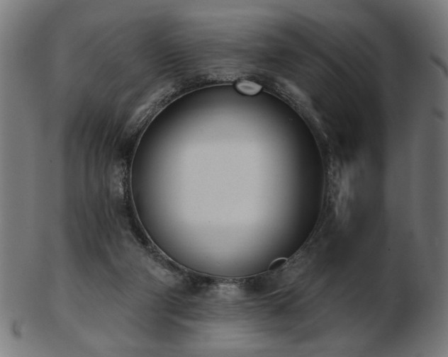 X0000103470114200809121636