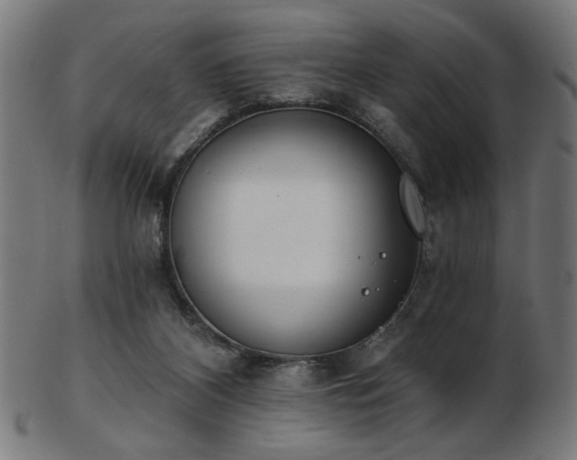 X0000103470116200809121636