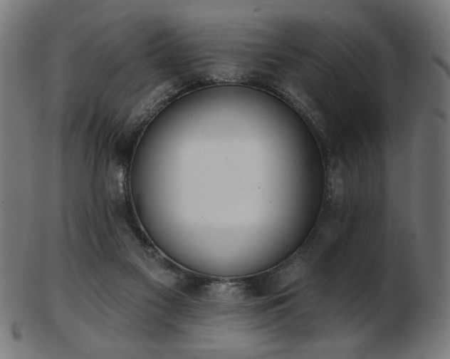 X0000103470117200809121636