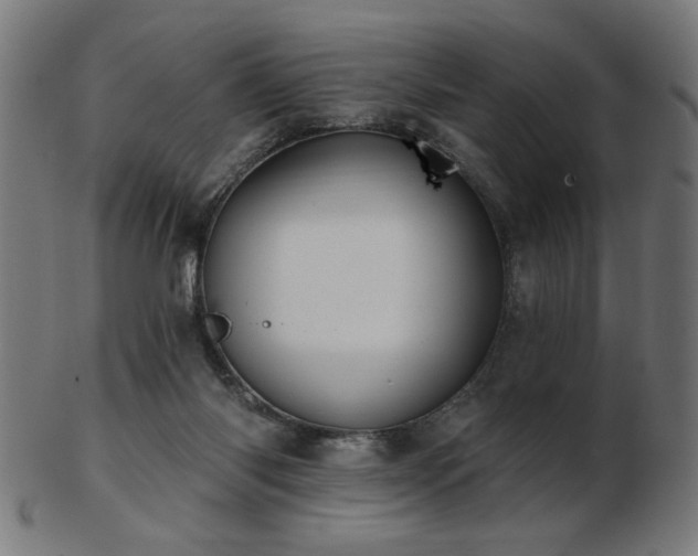 X0000103470118200809121636