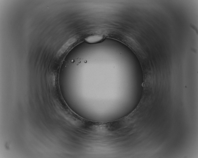 X0000103470120200809121636