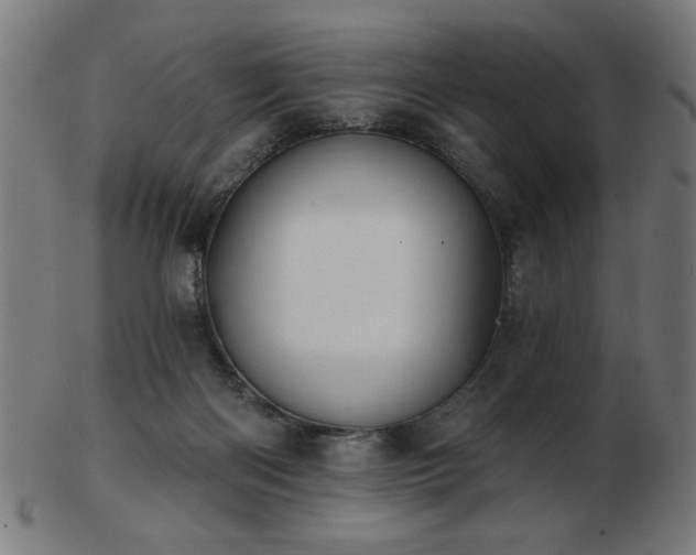 X0000103470122200809121636